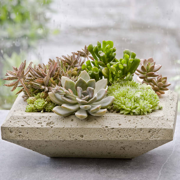 August Grove® Evita Concrete Pebble Fountain Wayfair